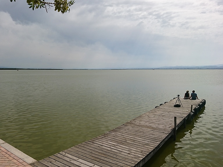 Get away from the city at La Albufera